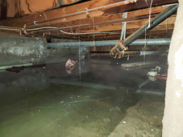 Best Water damage repair service  in Notre Dame, IN