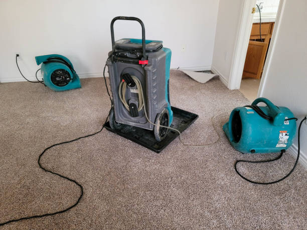 Water damage restoration process in Notre Dame, IN
