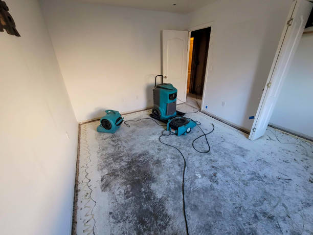 Best Local water damage restoration  in Notre Dame, IN