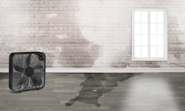 Professional Water damage restoration in Notre Dame, IN