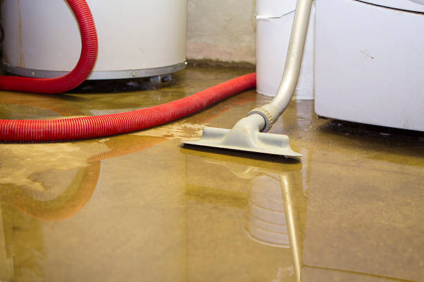 Best Emergency water damage restoration  in Notre Dame, IN