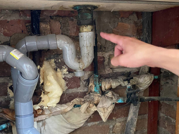 Best Ceiling water damage repair  in Notre Dame, IN