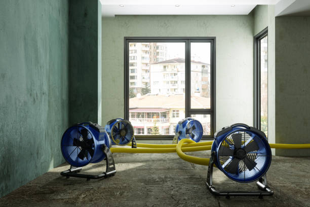 Best Water damage contractors near me  in Notre Dame, IN